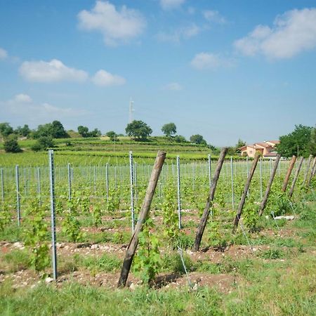 Agriturismo Albarello ソーナ エクステリア 写真