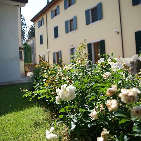 Agriturismo Albarello ソーナ エクステリア 写真