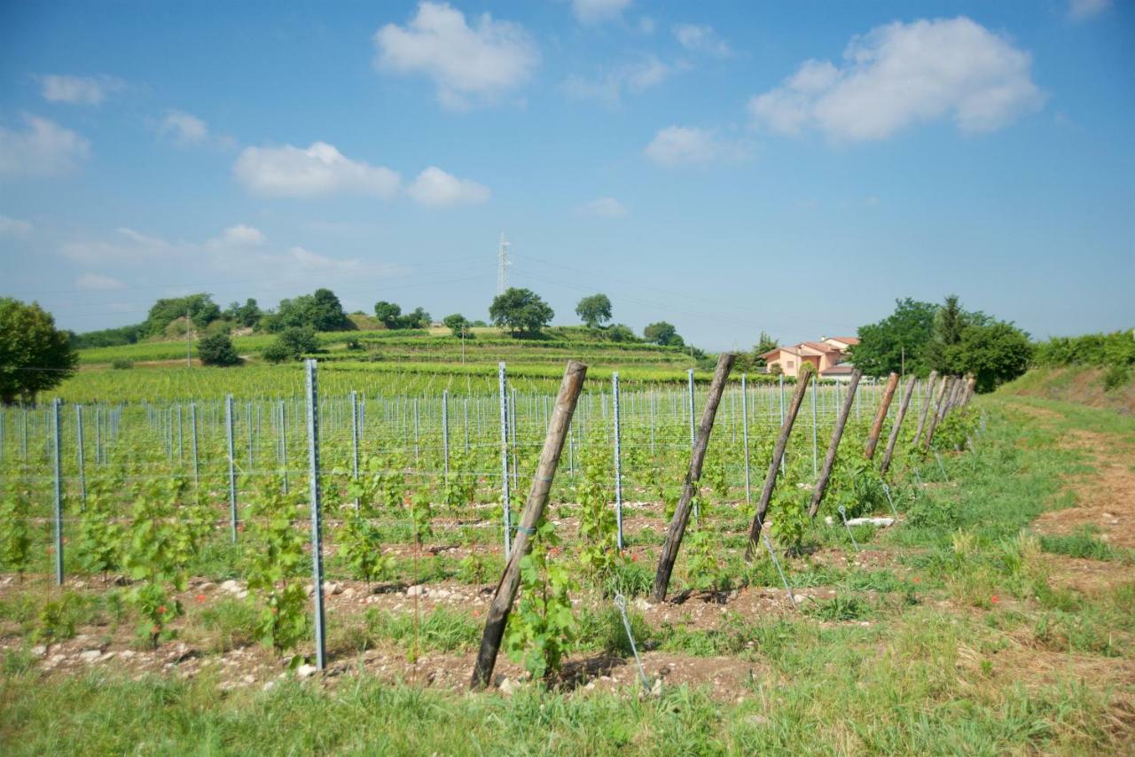 Agriturismo Albarello ソーナ エクステリア 写真