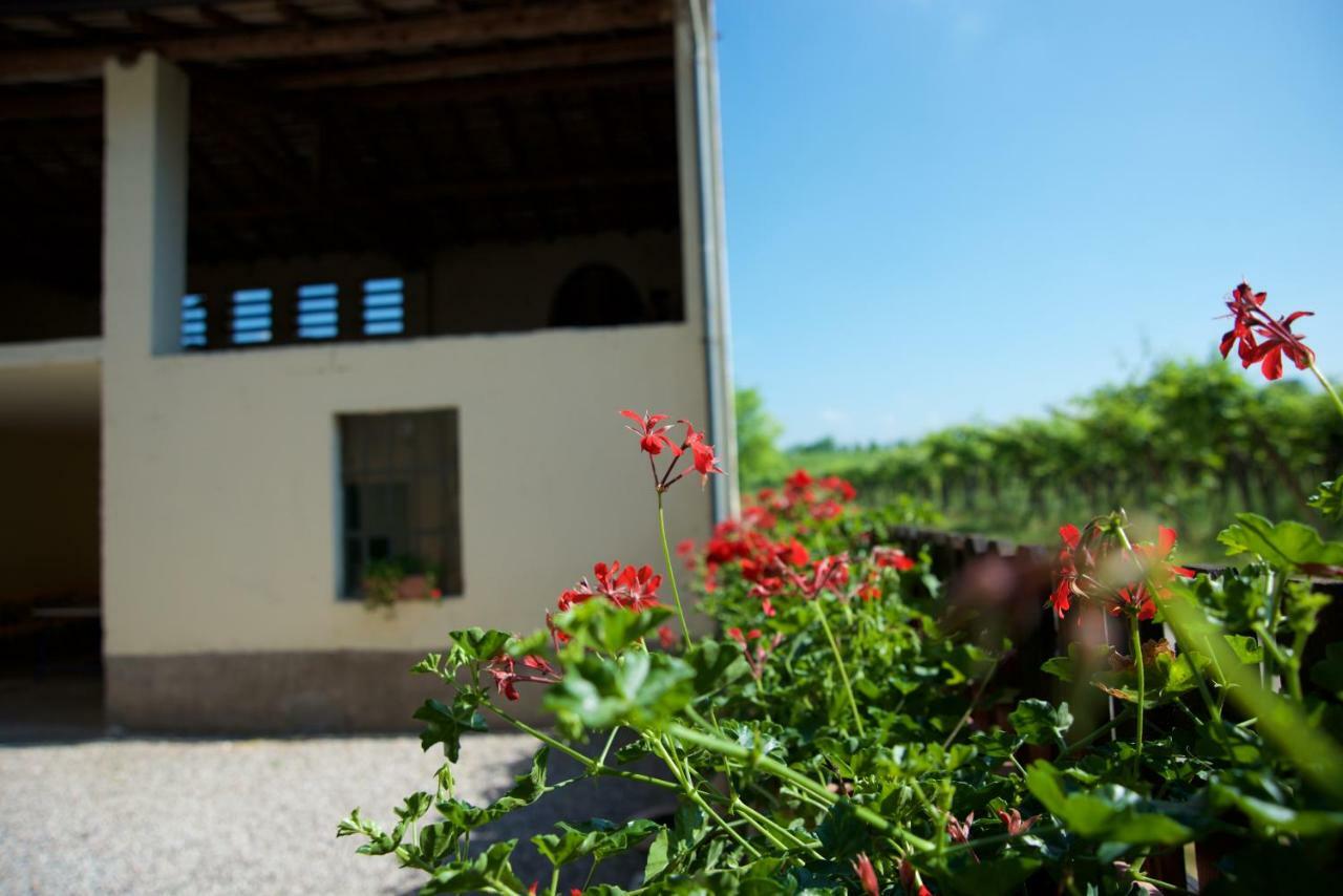 Agriturismo Albarello ソーナ エクステリア 写真