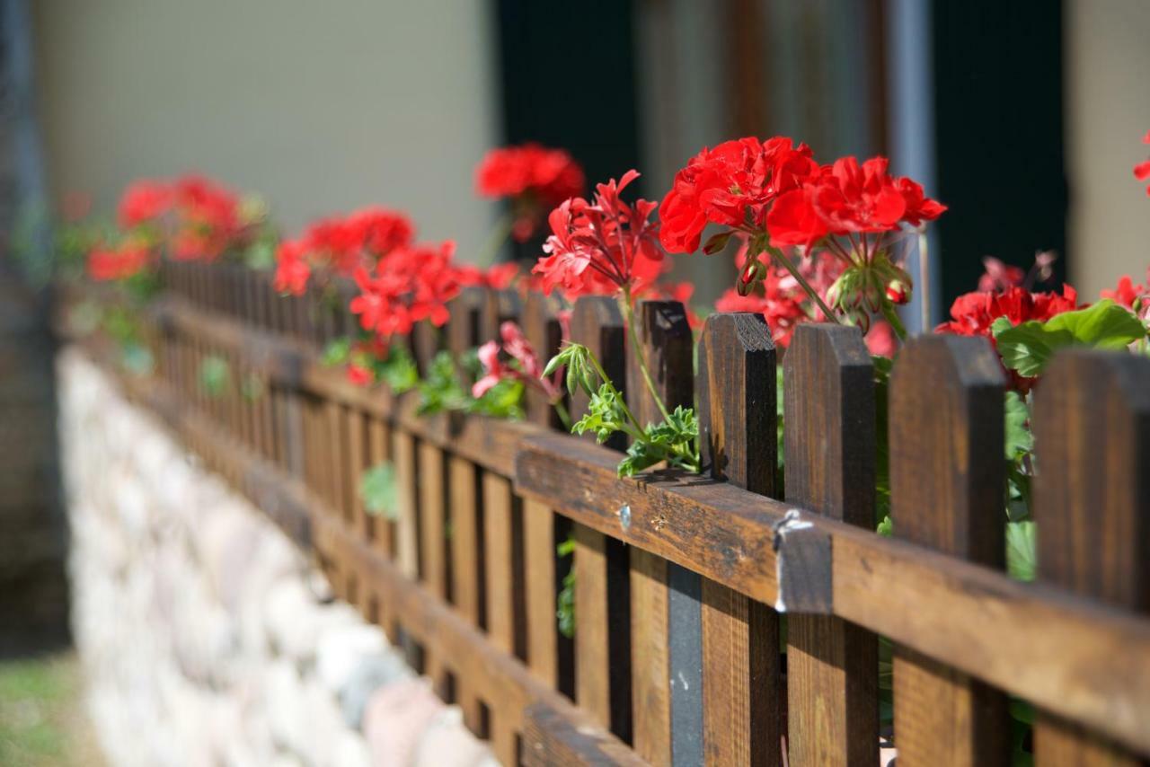 Agriturismo Albarello ソーナ エクステリア 写真